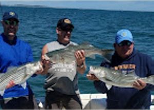 Striper Fishing in Plymouth
